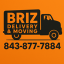 BRIZ logo
